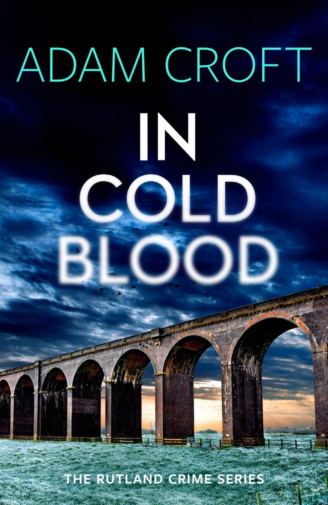 In Cold Blood - Adam Croft