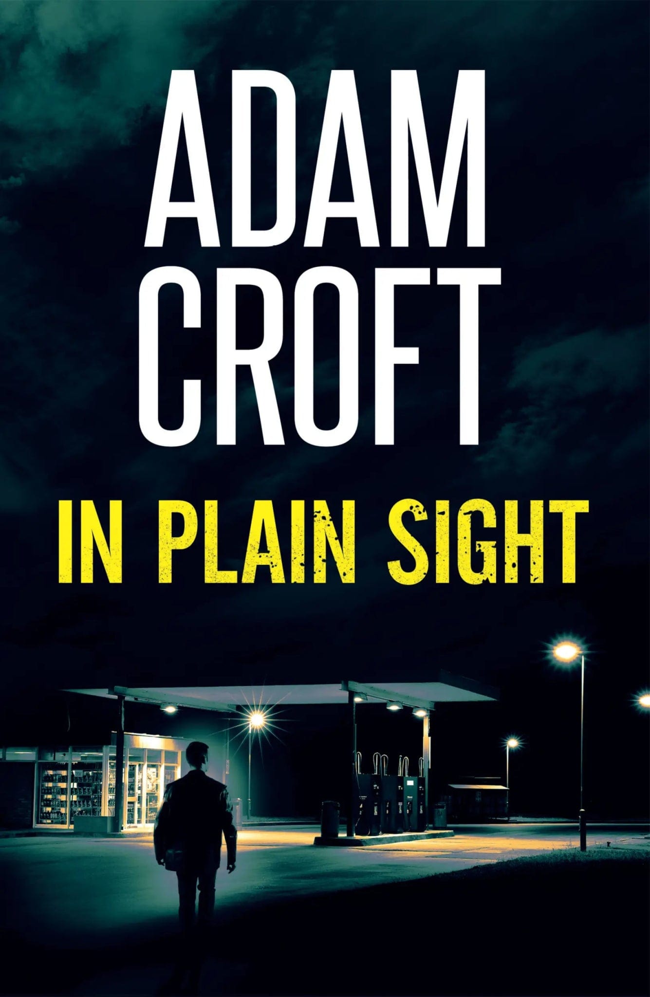 In Plain Sight - Adam Croft