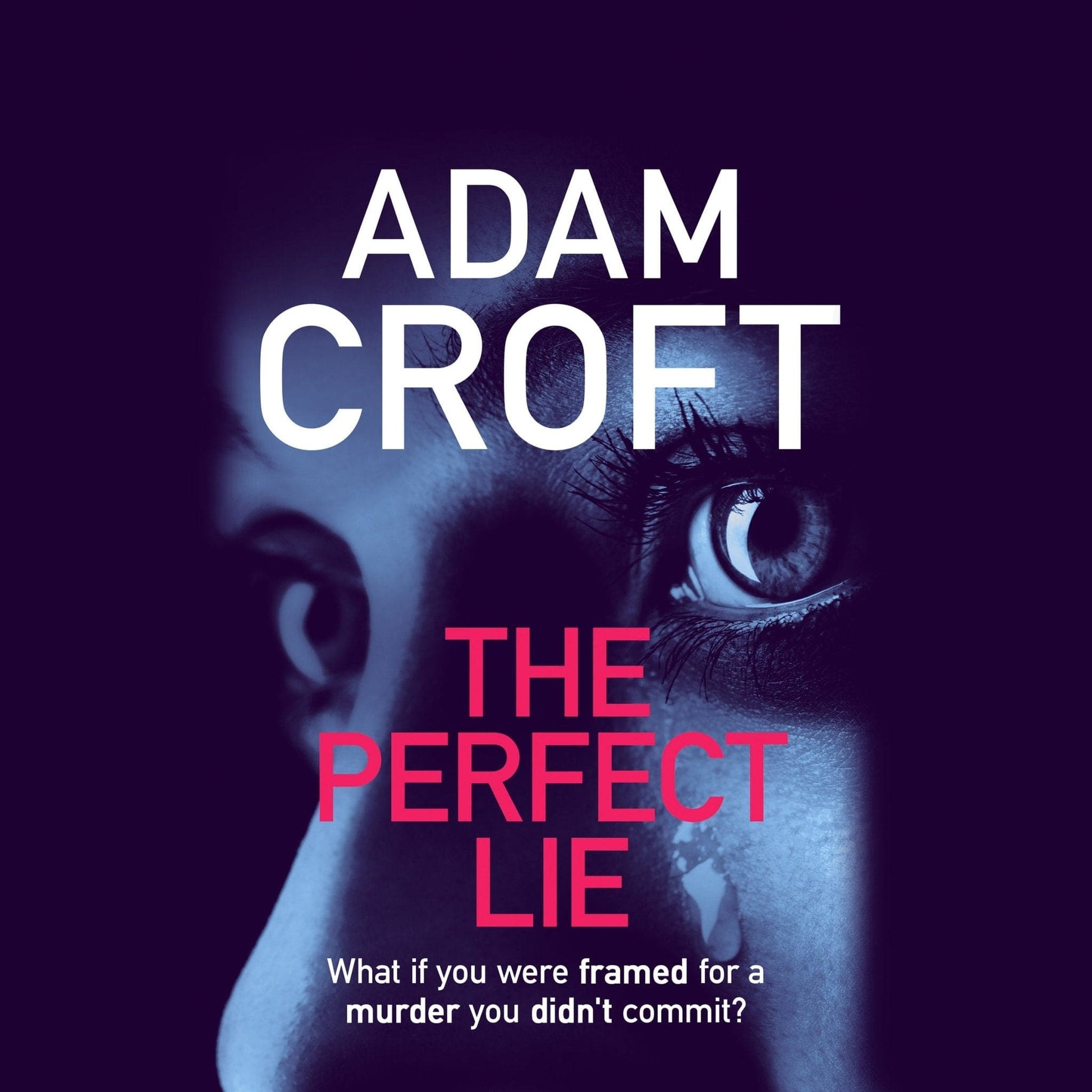 The Perfect Lie - Adam Croft